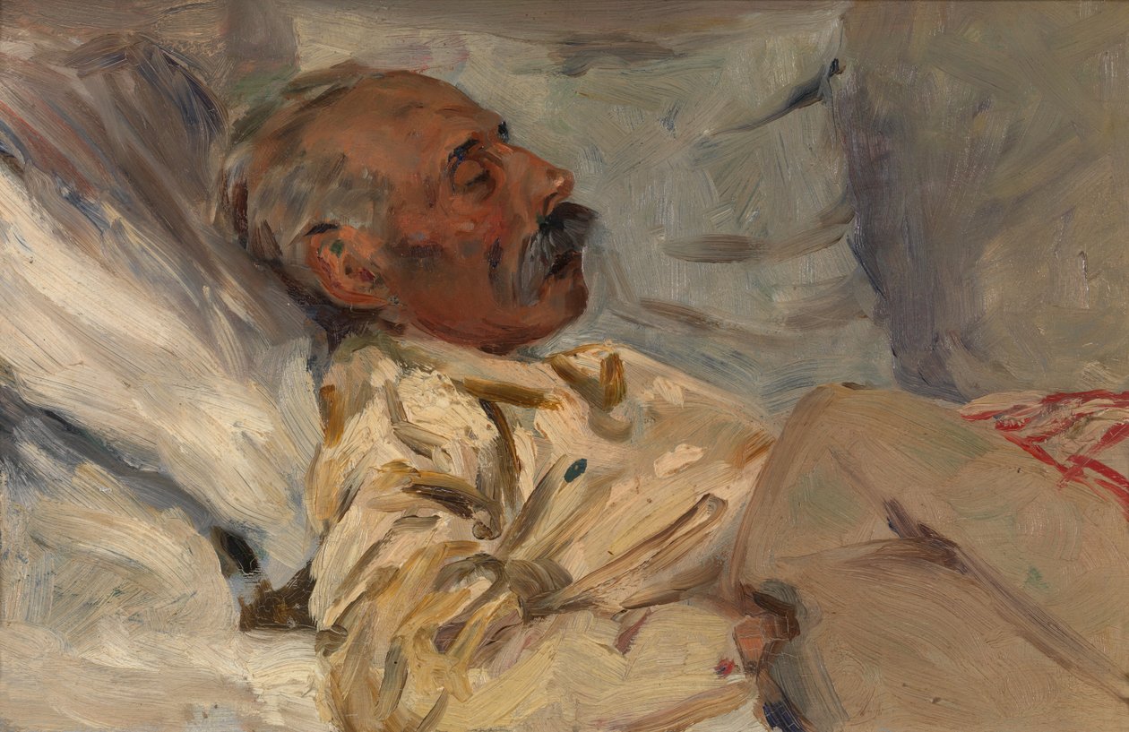 Il mio nonno malato da Henri Jacques Edouard Evenepoel