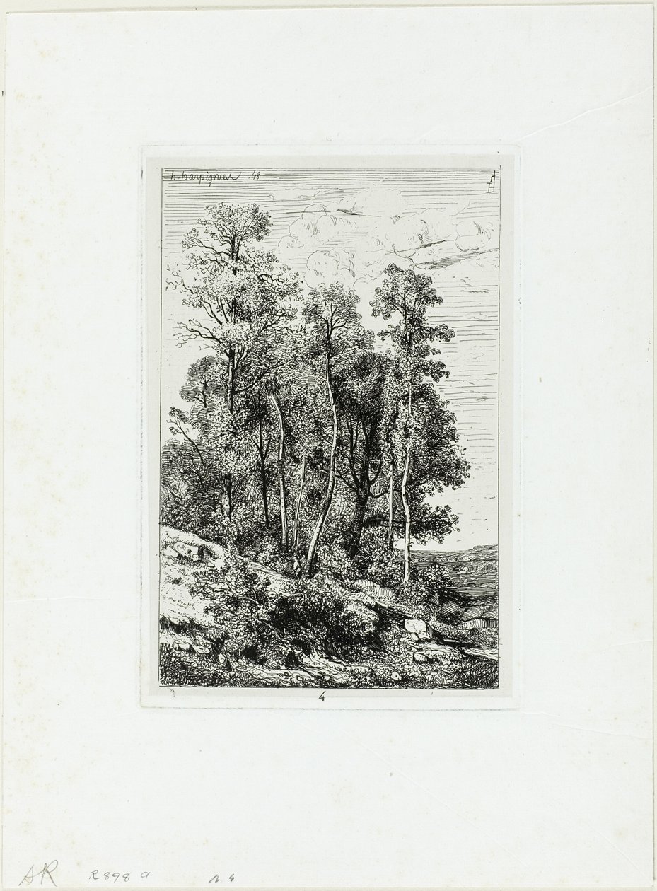 Betulle e querce da Henri Joseph Harpignies
