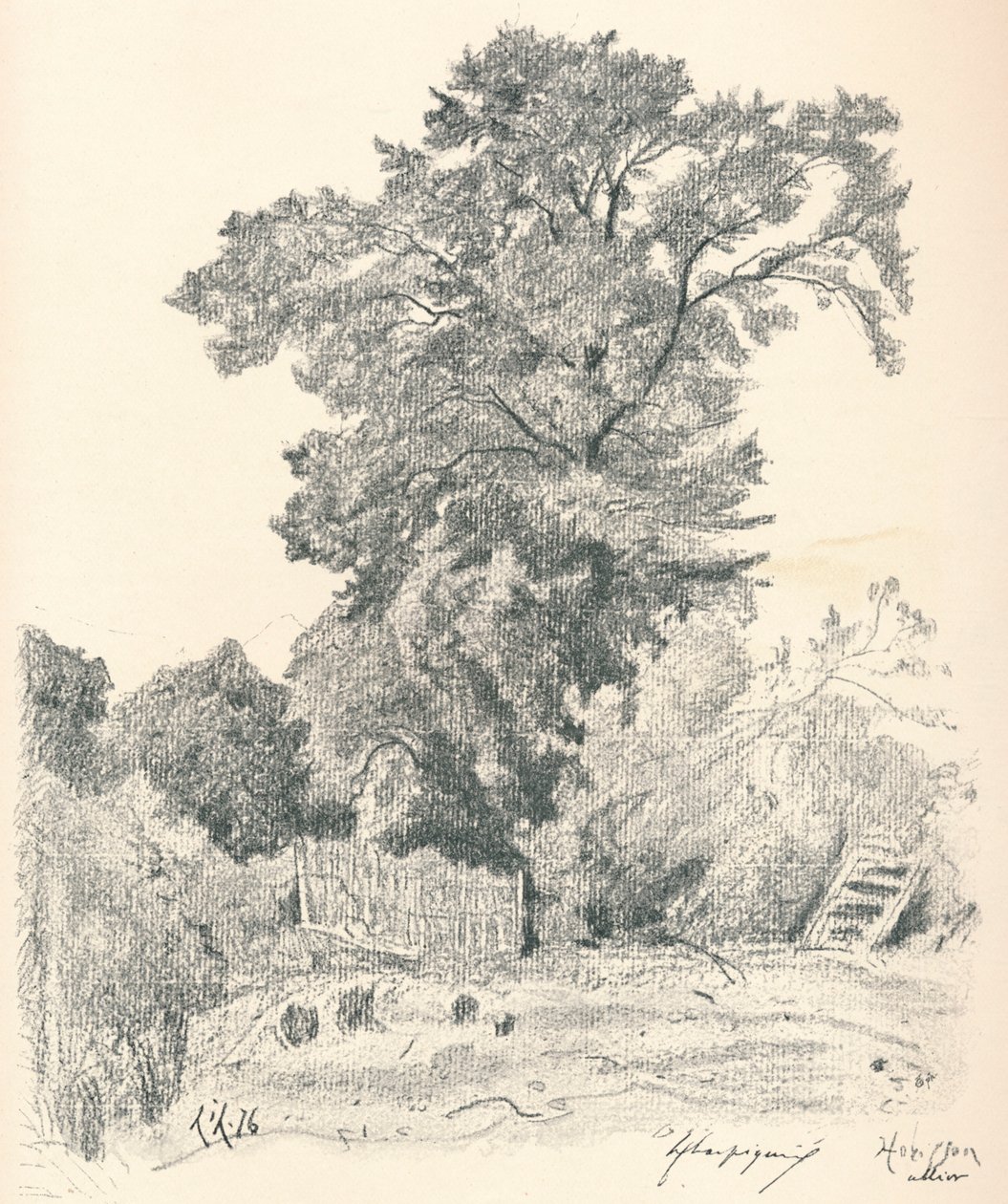 Studio di alberi, c1839-1898, 1898 da Henri Joseph Harpignies