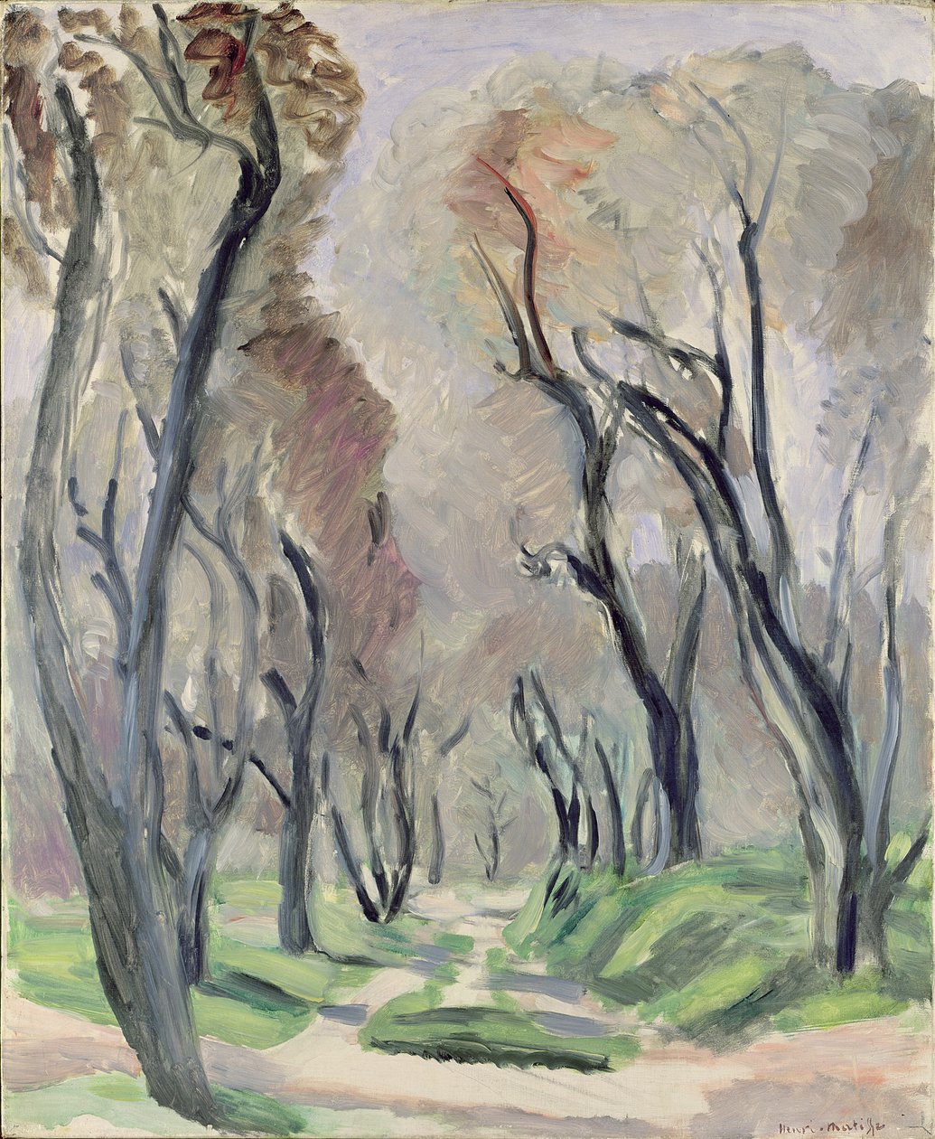 Viale degli Ulivi da Henri Matisse