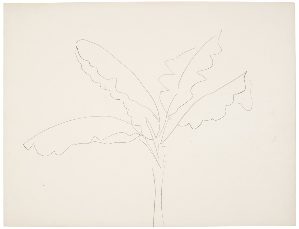 Banana tree (Tahiti) da Henri Matisse