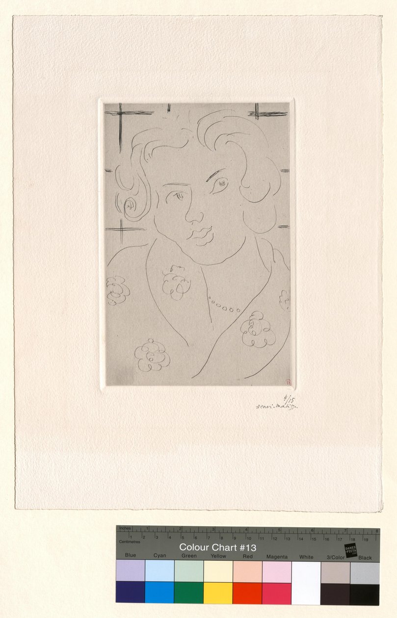 Busto, abito a fiori da Henri Matisse
