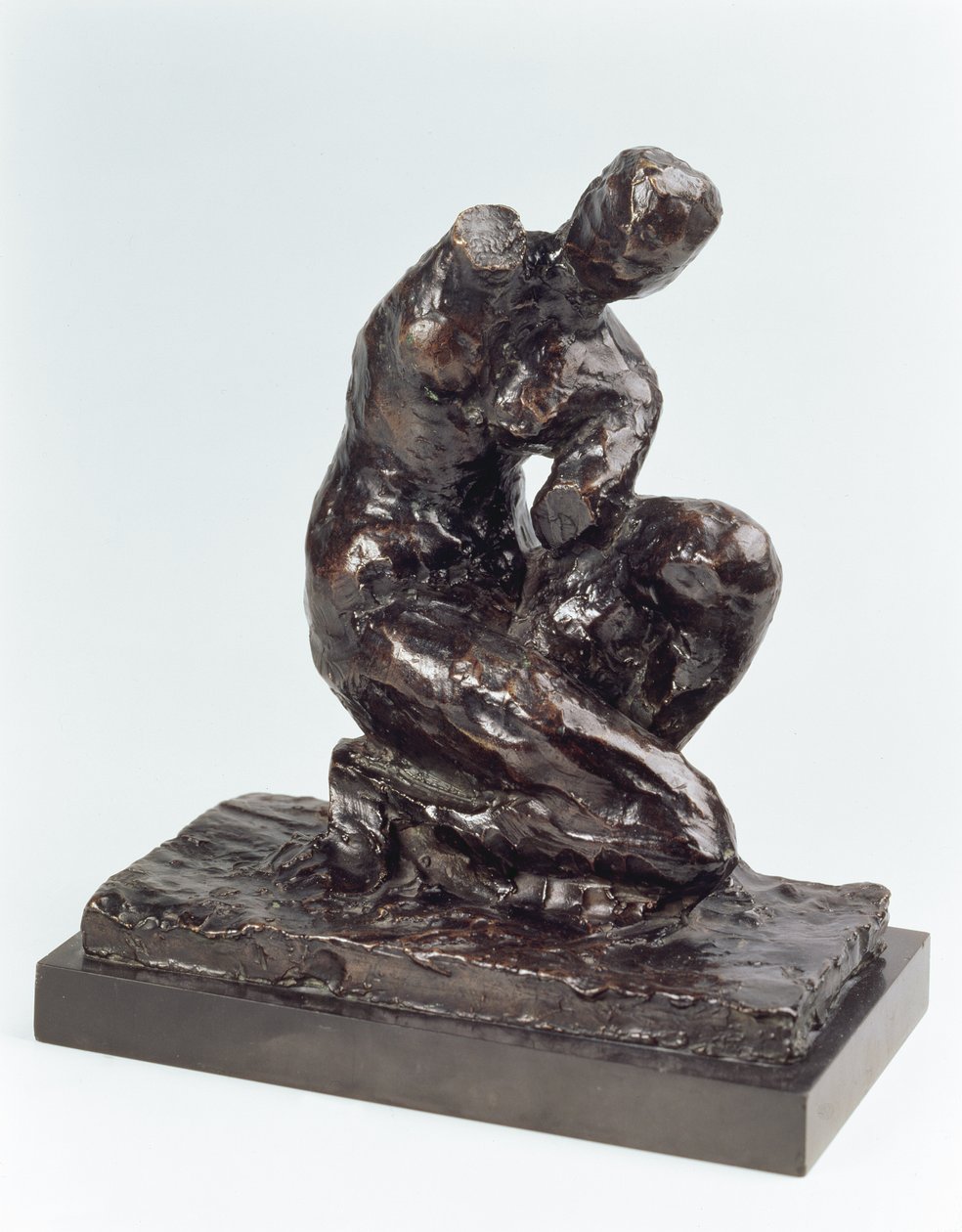 Venere accovacciata da Henri Matisse