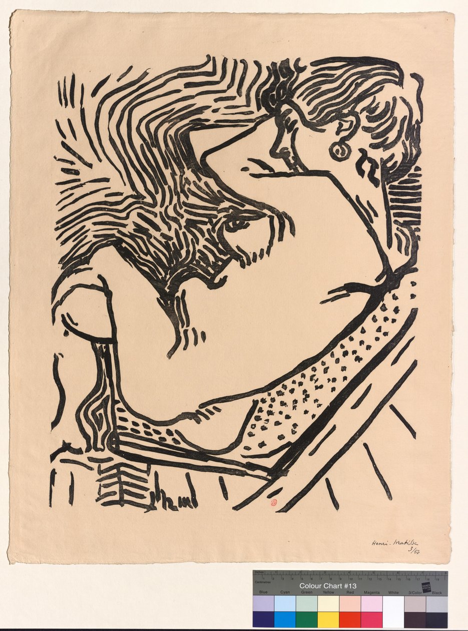 Il Grande Bosco da Henri Matisse