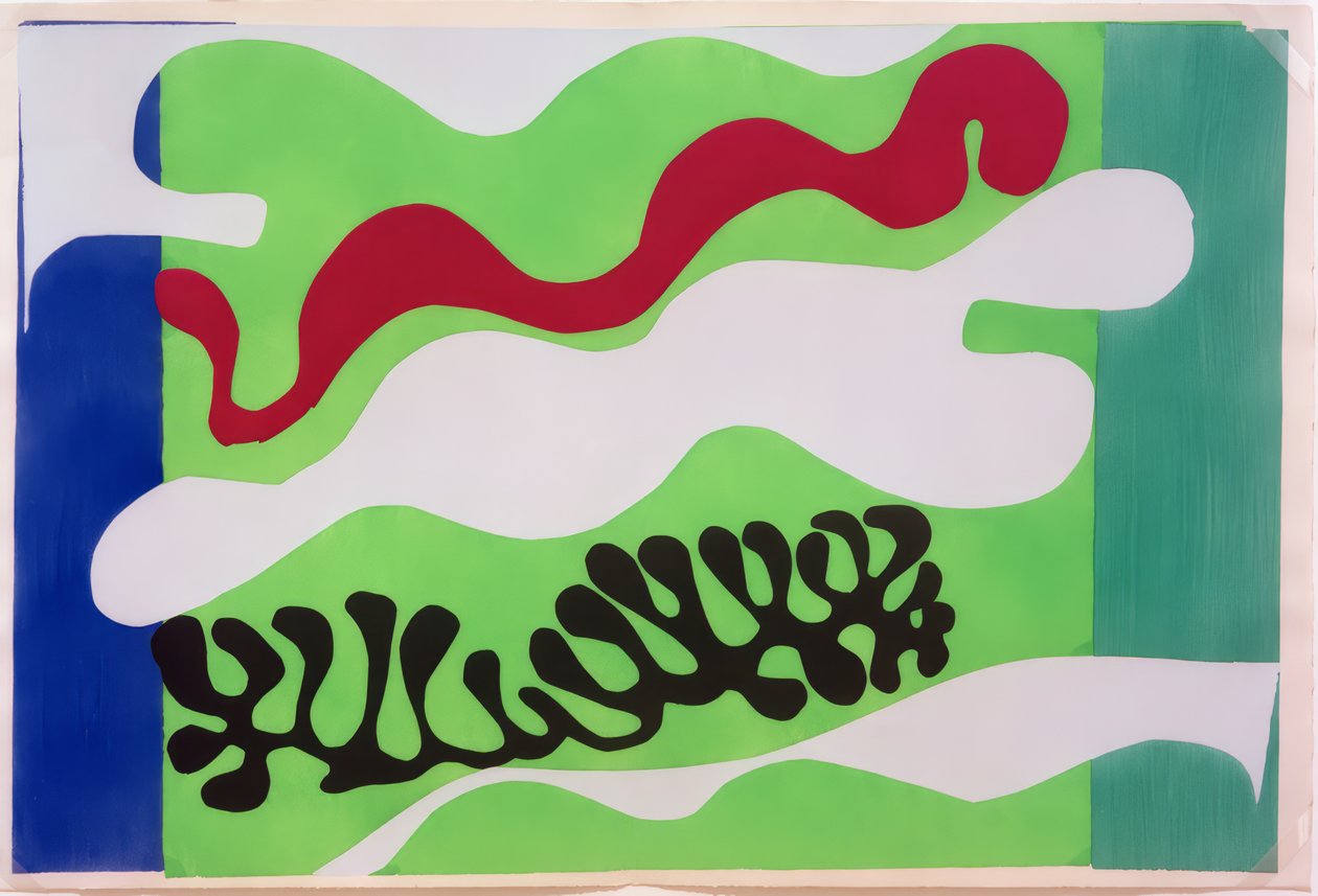 Le lagon da Henri Matisse