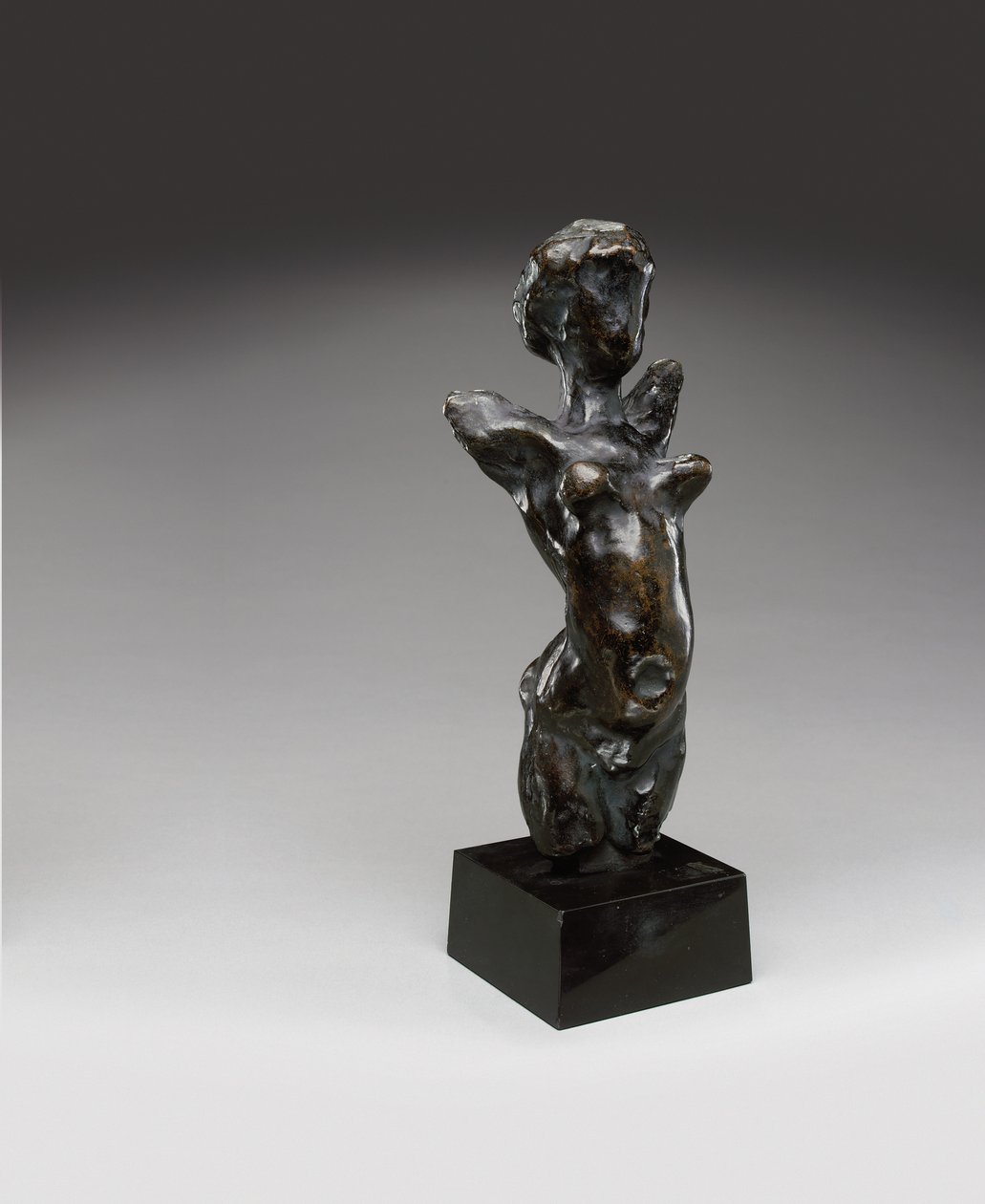 Vita - Torso con testa, ideata nel 1906, questa versione fusa da Valsuani nel 1951 (bronzo con patina marrone) da Henri Matisse