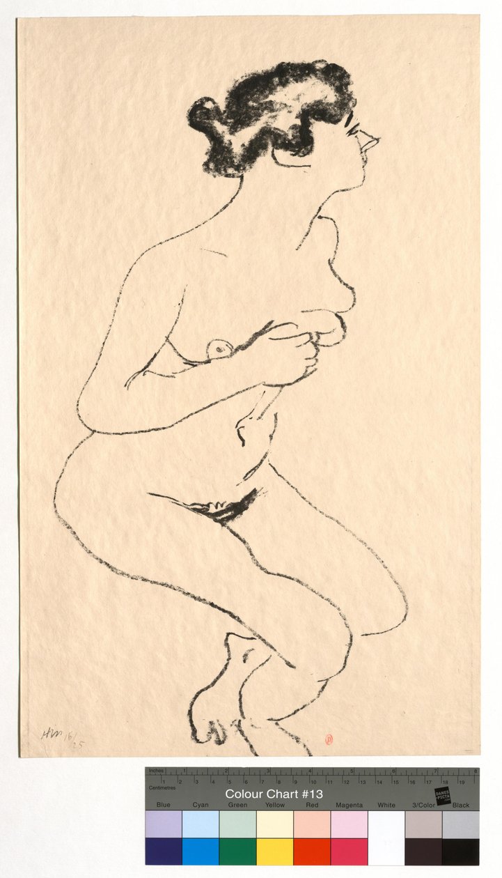 Nudo accovacciato, profilo con capelli neri da Henri Matisse