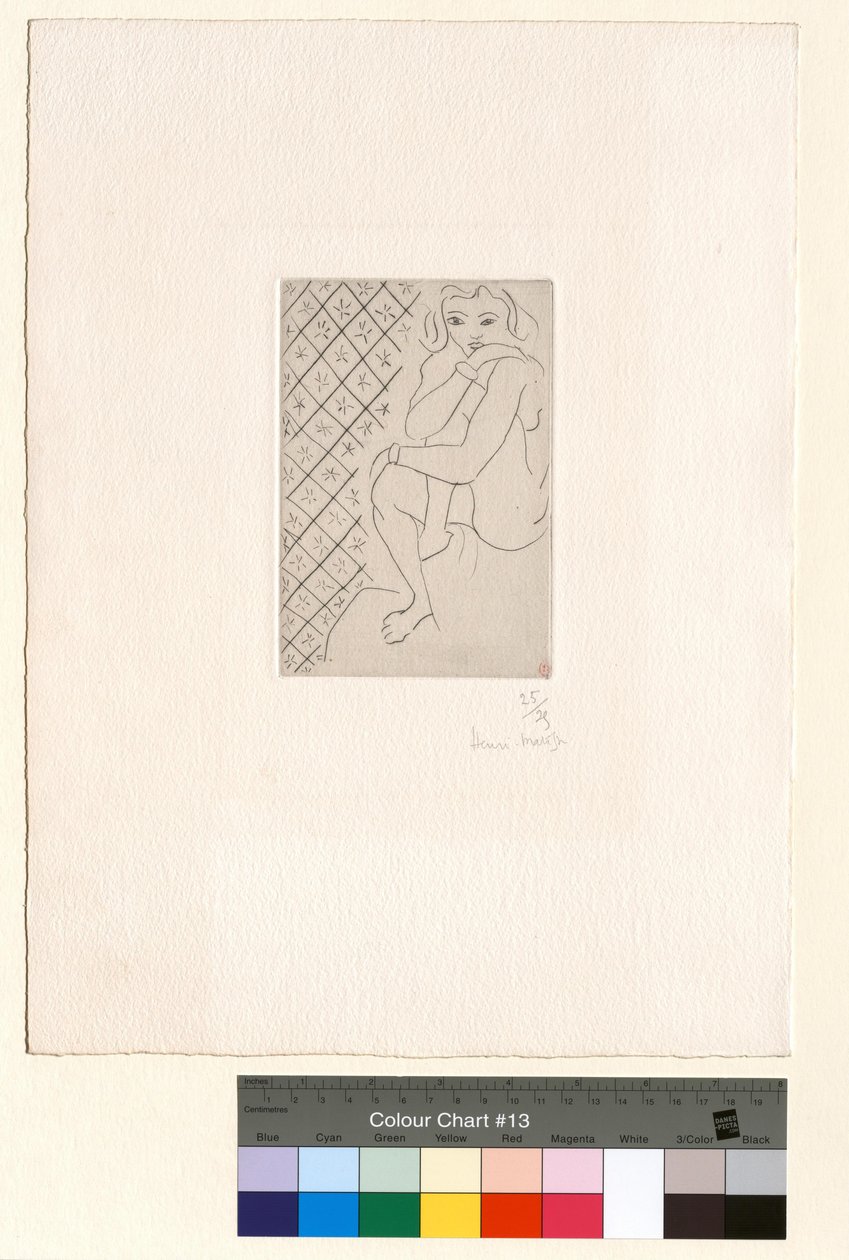 Nudo seduto, sfondo di piastrelle stellate da Henri Matisse
