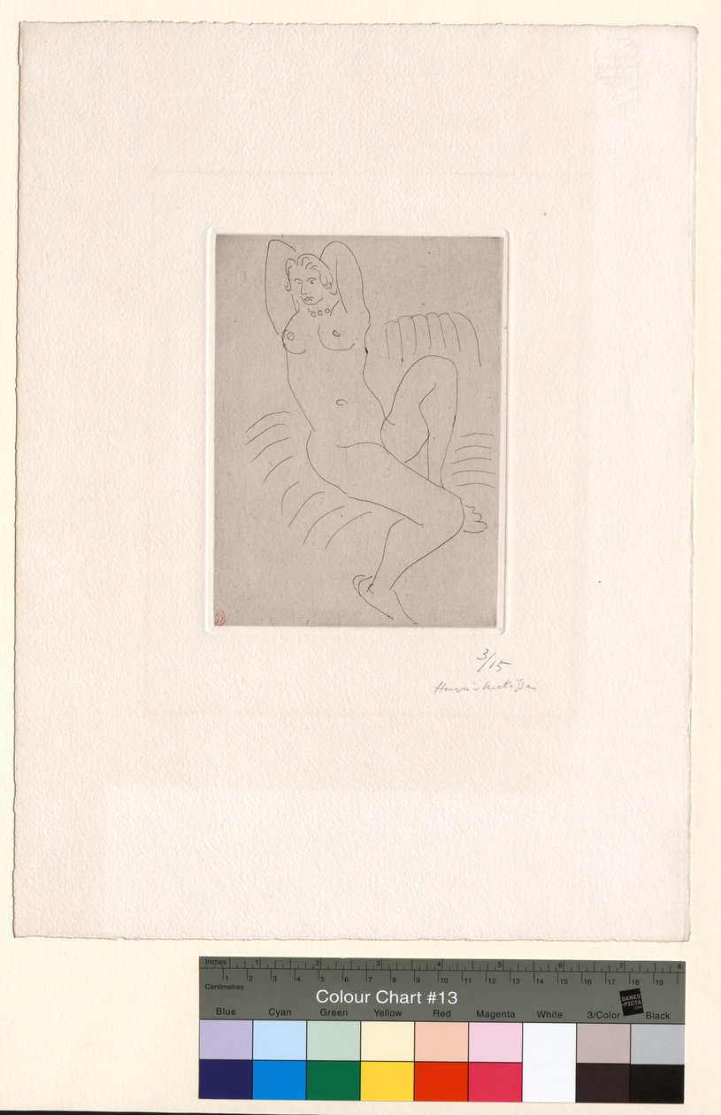 Nudo sulla poltrona a righe da Henri Matisse