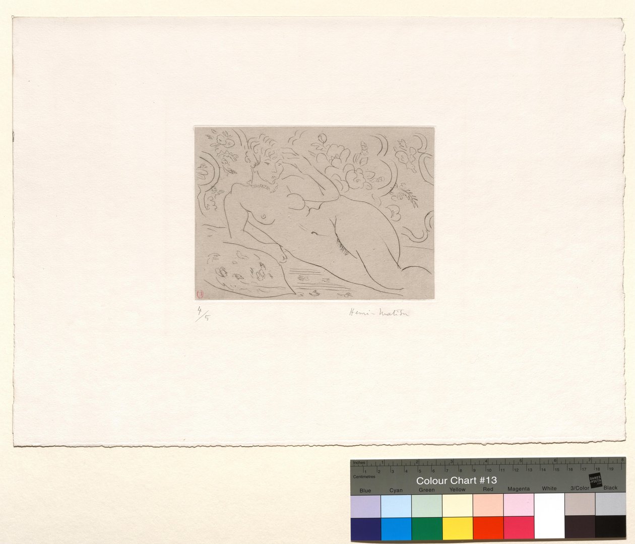 Nudo, interno fiorito da Henri Matisse