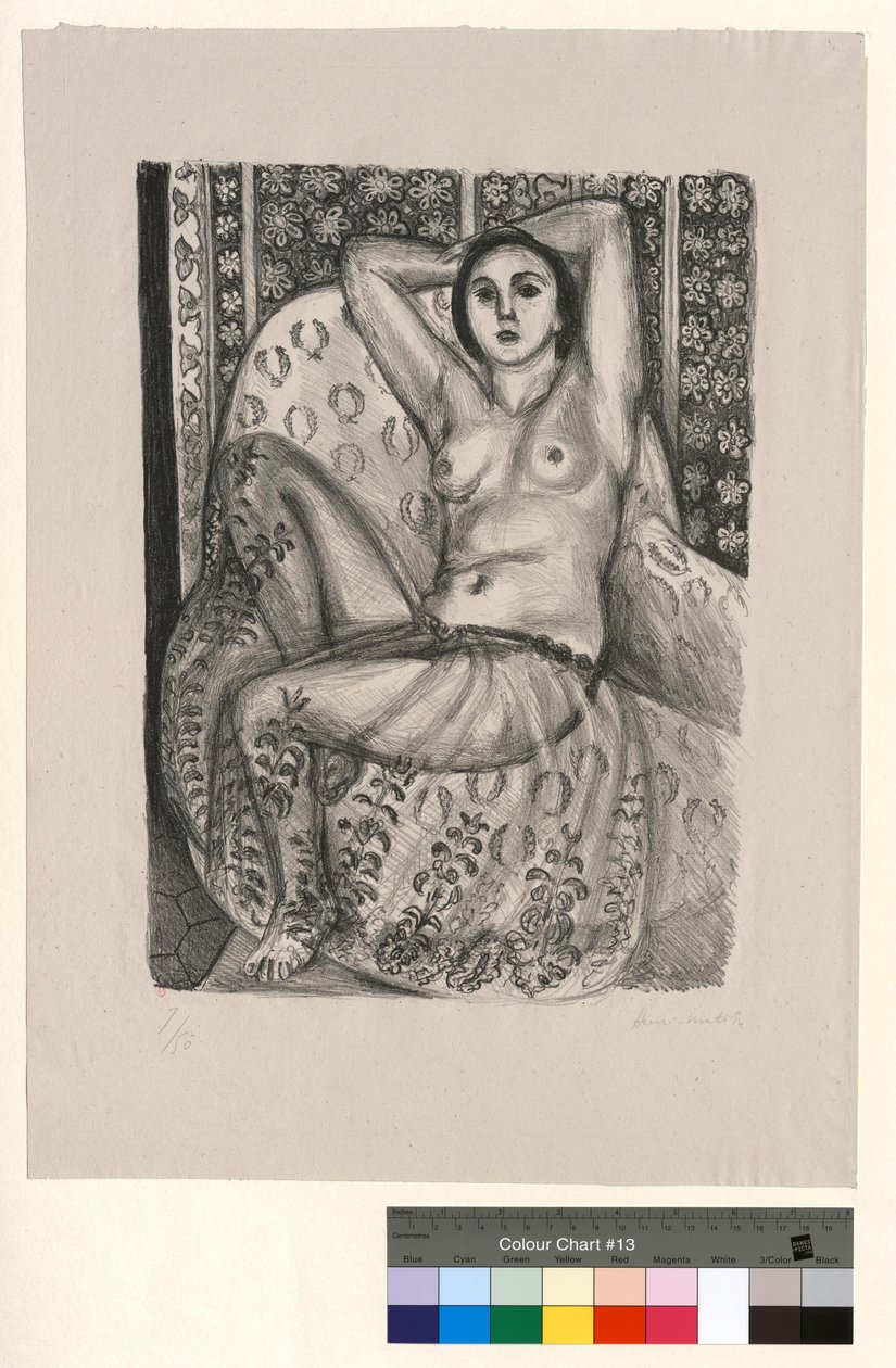 Odalisca seduta con gonna di tulle da Henri Matisse