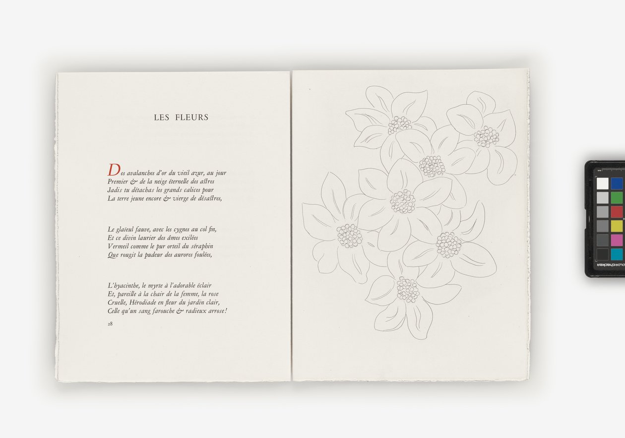 Poesia da Henri Matisse