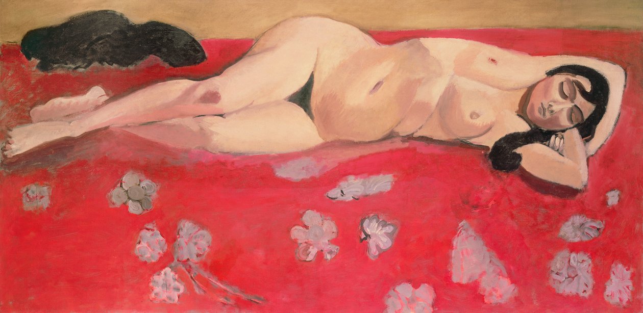 Dormire nudi da Henri Matisse