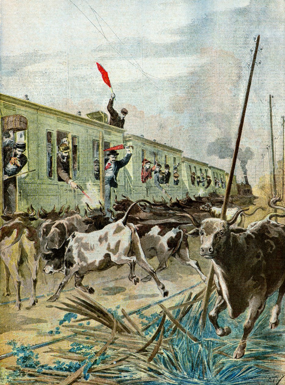 Un treno attaccato da una mandria di tori, 1895 (Illustrazione) da Henri Meyer