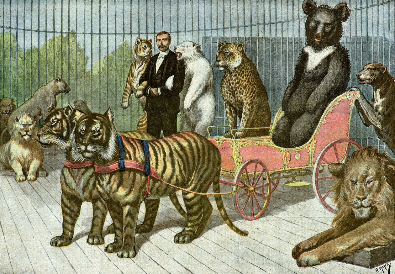 La gabbia delle betes feroces nel giardino di acclimatazione, 1895 (Illustrazione) da Henri Meyer