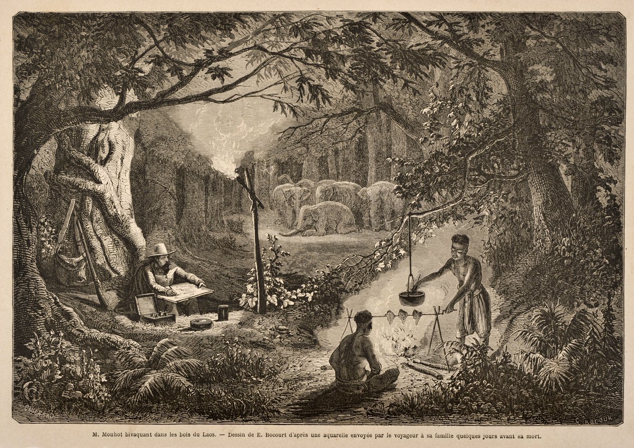 Henri Mouhot accampato nelle giungle del Laos, illustrazione da 