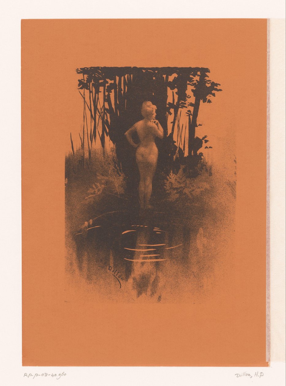 Donna che fa il bagno nella natura da Henri Patrice Dillon