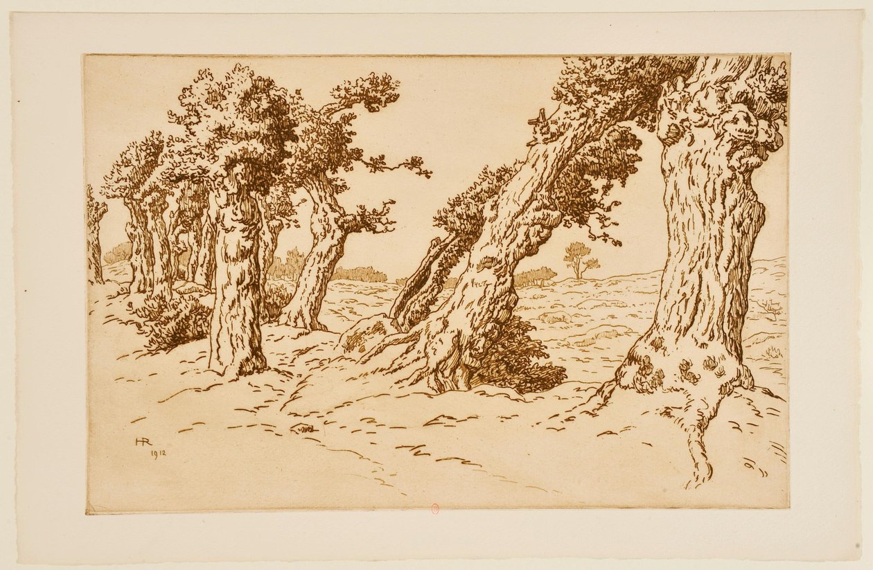 Knotige Baumstämme da Henri Rivière