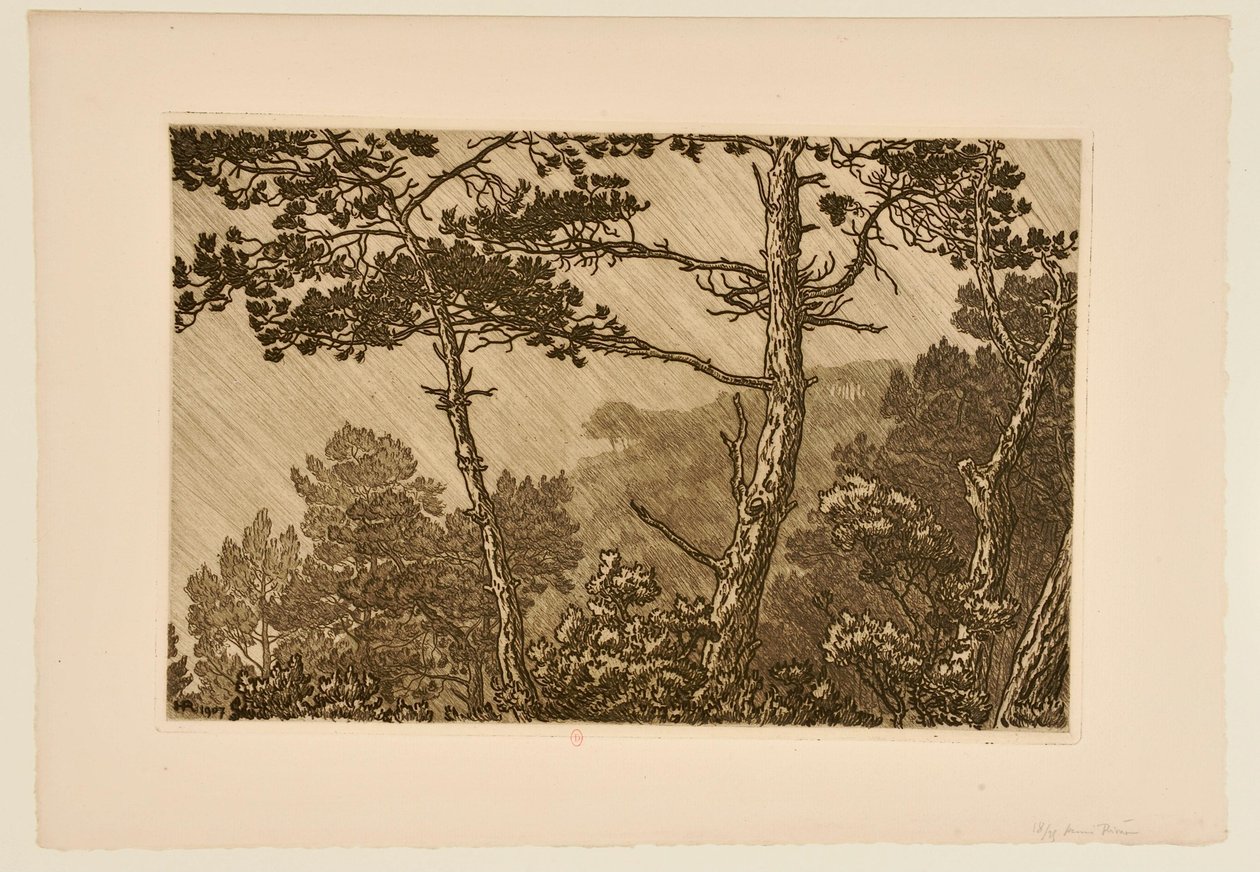 [Alberi sotto un acquazzone] da Henri Rivière