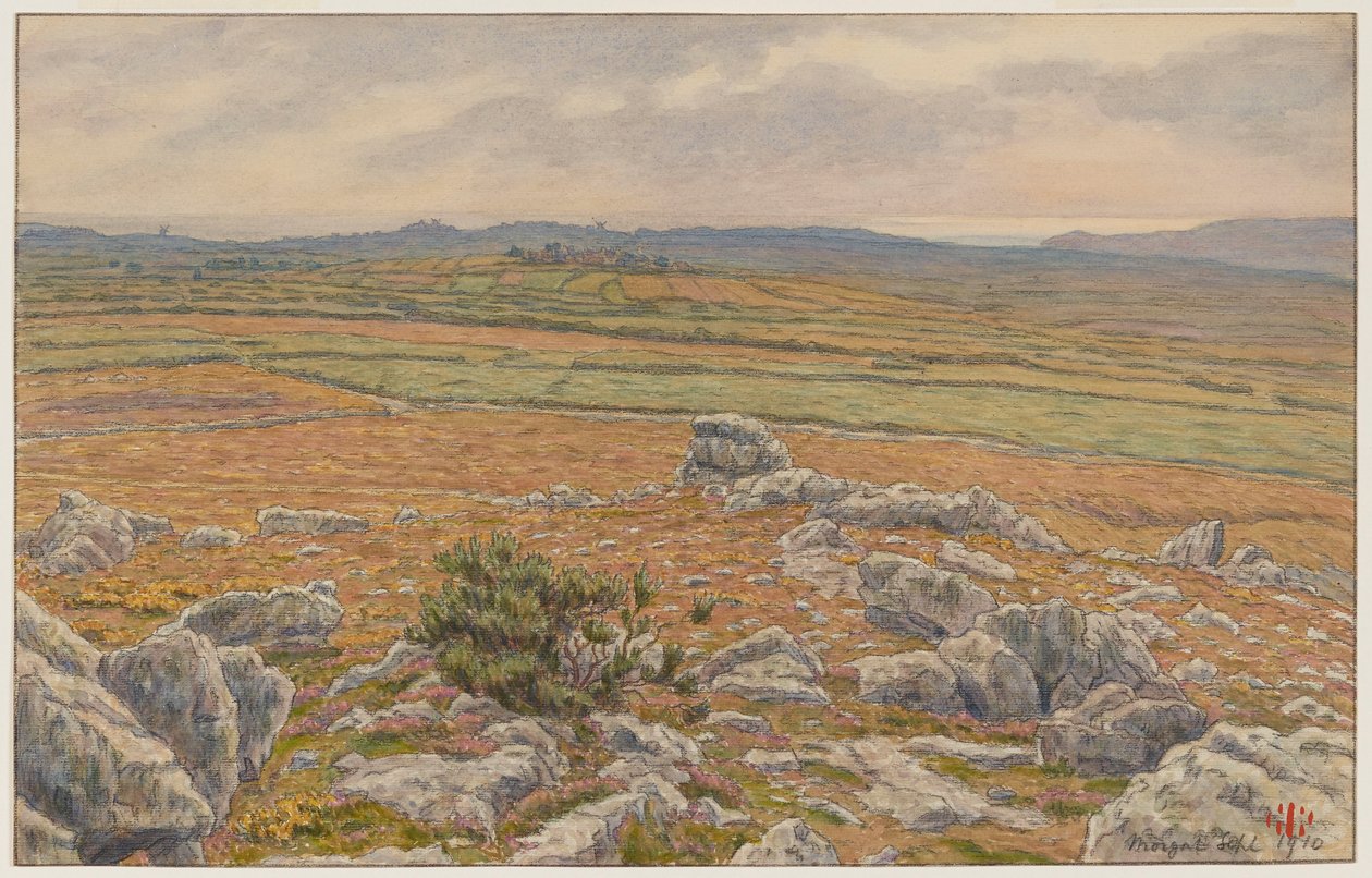 Lande di Morgat da Henri Rivière