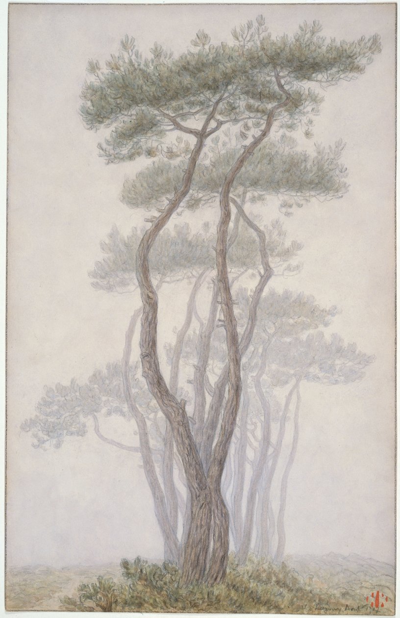 Loguivy, alberi da Henri Rivière