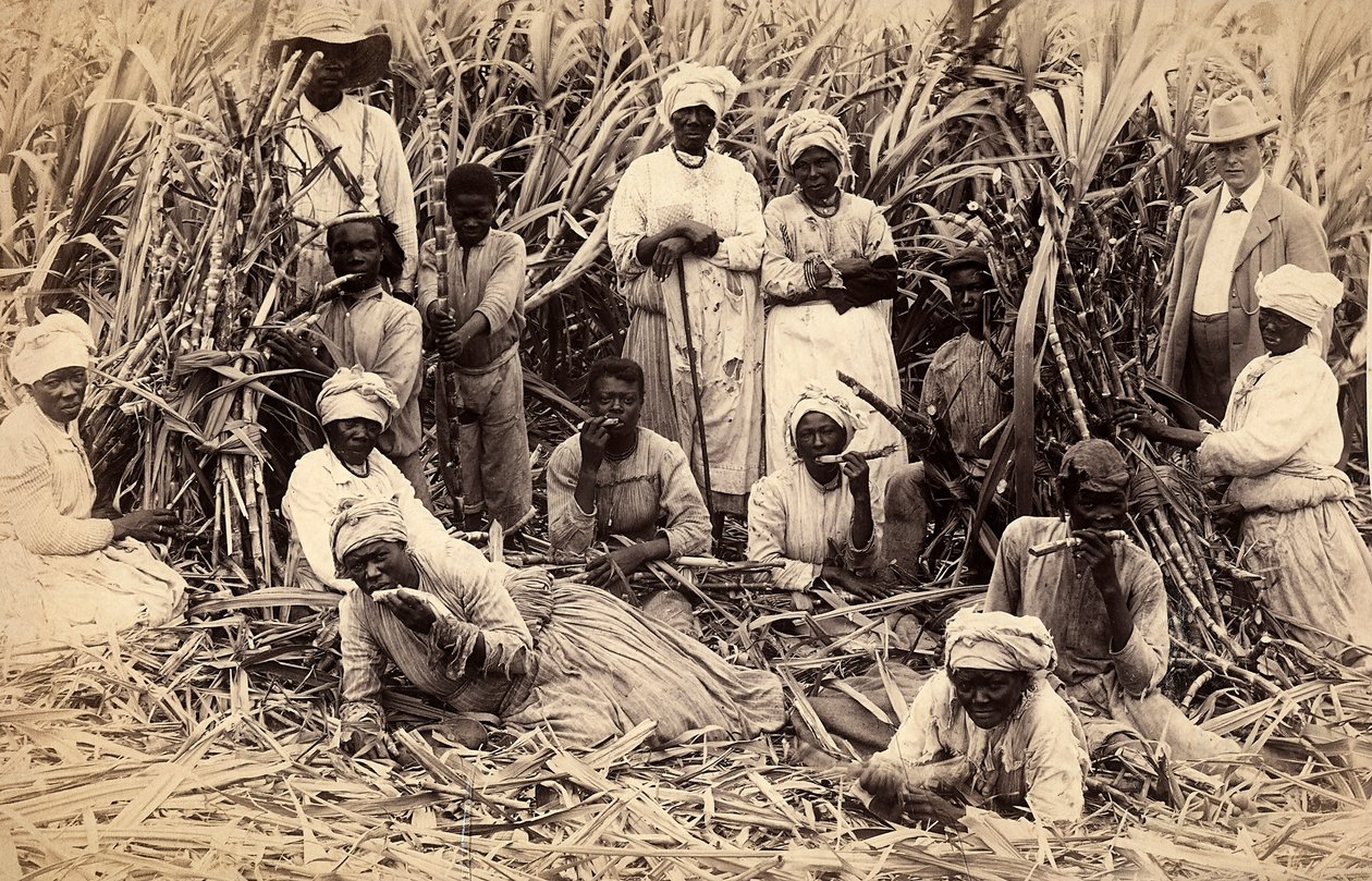 Tagliatori di canna da zucchero, Giamaica da Henri S. Duperly