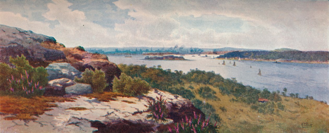 Sydney da Vaucluse, c. 1906 da Henri Tebbitt