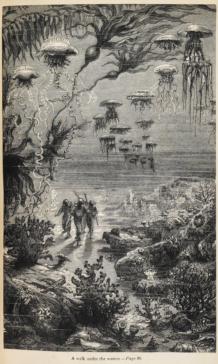 Illustrazione per 