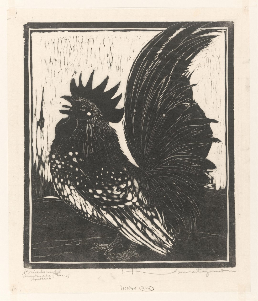 Galletto da Henri Verstijnen (signed by artist)