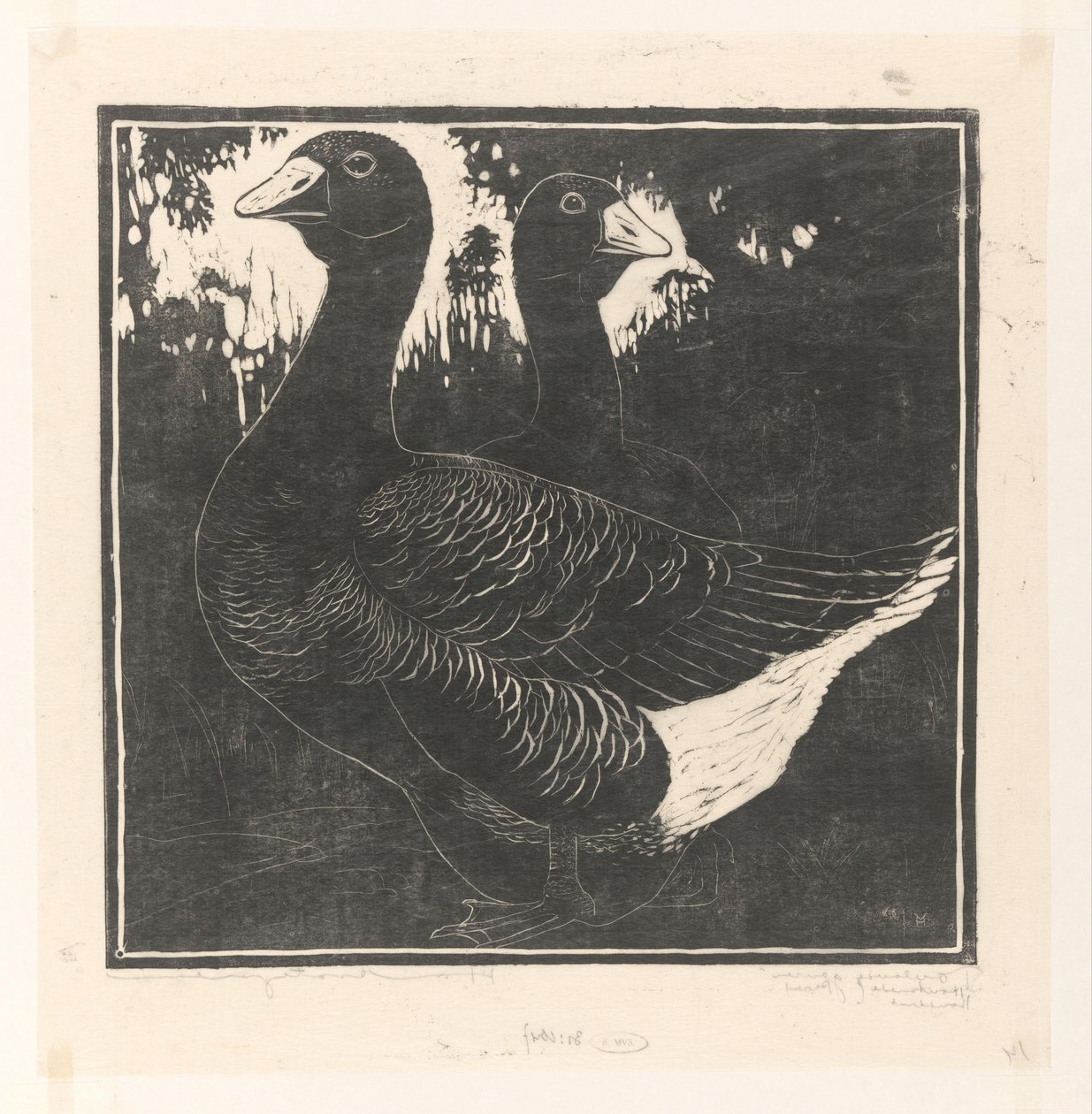 Oche di Tolosa da Henri Verstijnen (signed by artist)