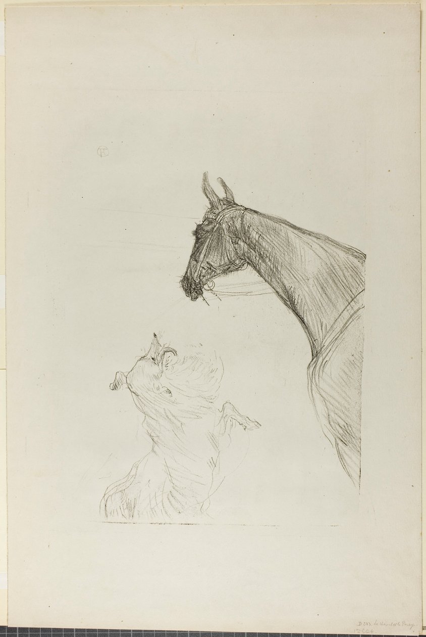 Cavallo e Collie da Henri de Toulouse-Lautrec
