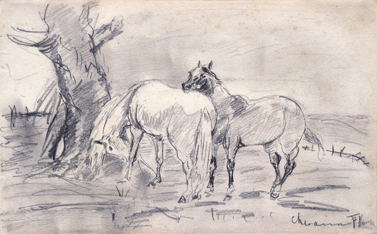 Cavalli da Henri de Toulouse-Lautrec