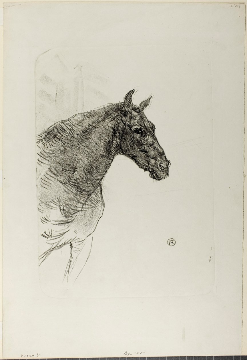 Philibert il Pony da Henri de Toulouse-Lautrec