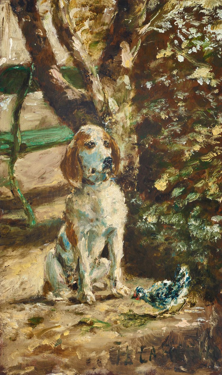 Il cane dell