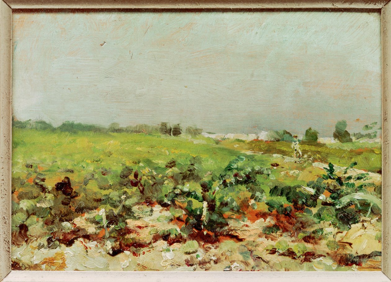 Vista sui vigneti da Henri de Toulouse-Lautrec