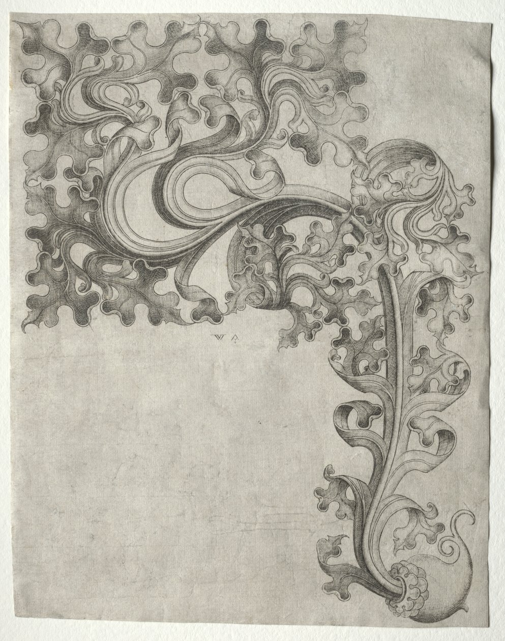 Un ornamento a foglia di quercia da Henri de Toulouse Lautrec