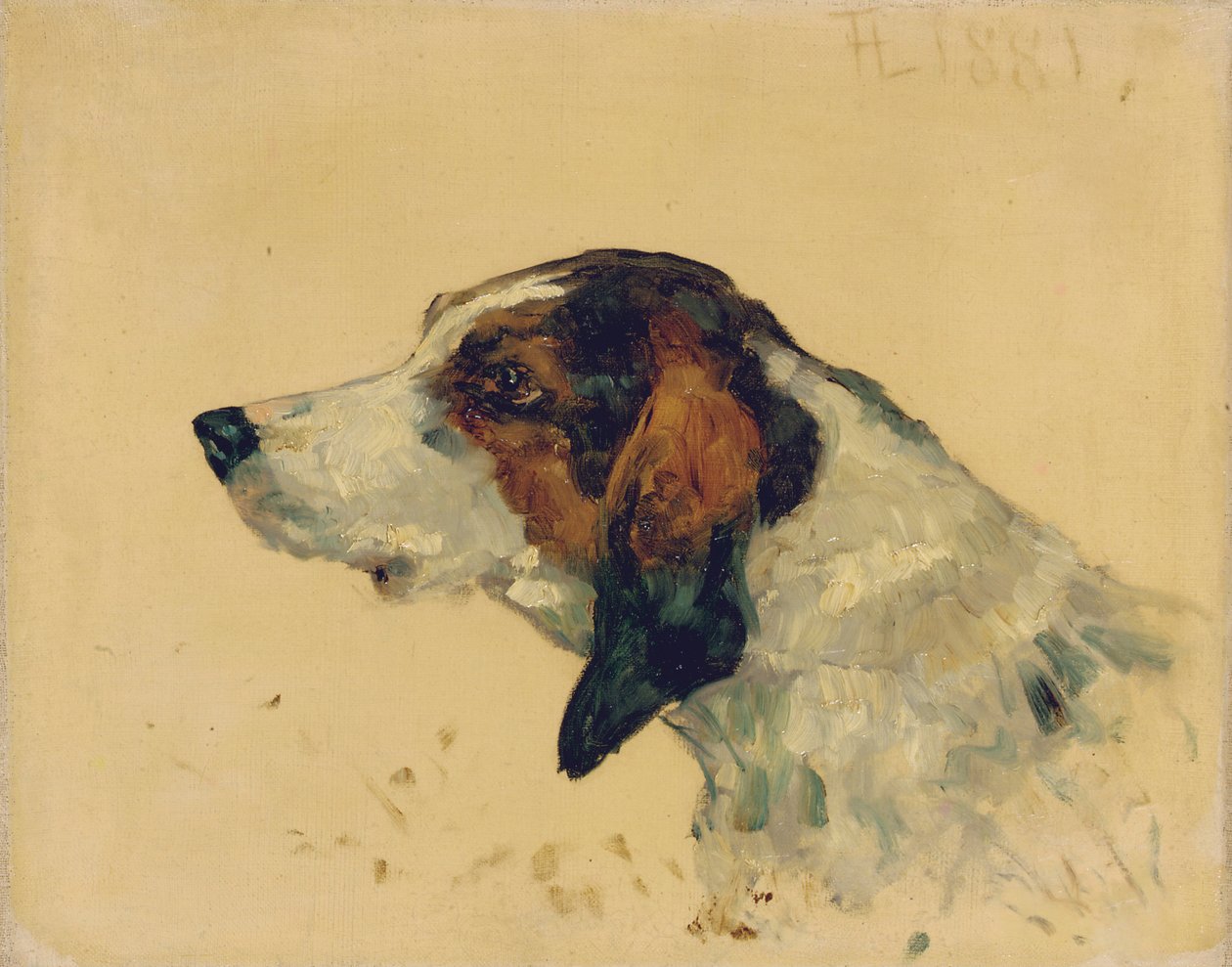 Cane da caccia, 1881 da Henri de Toulouse Lautrec