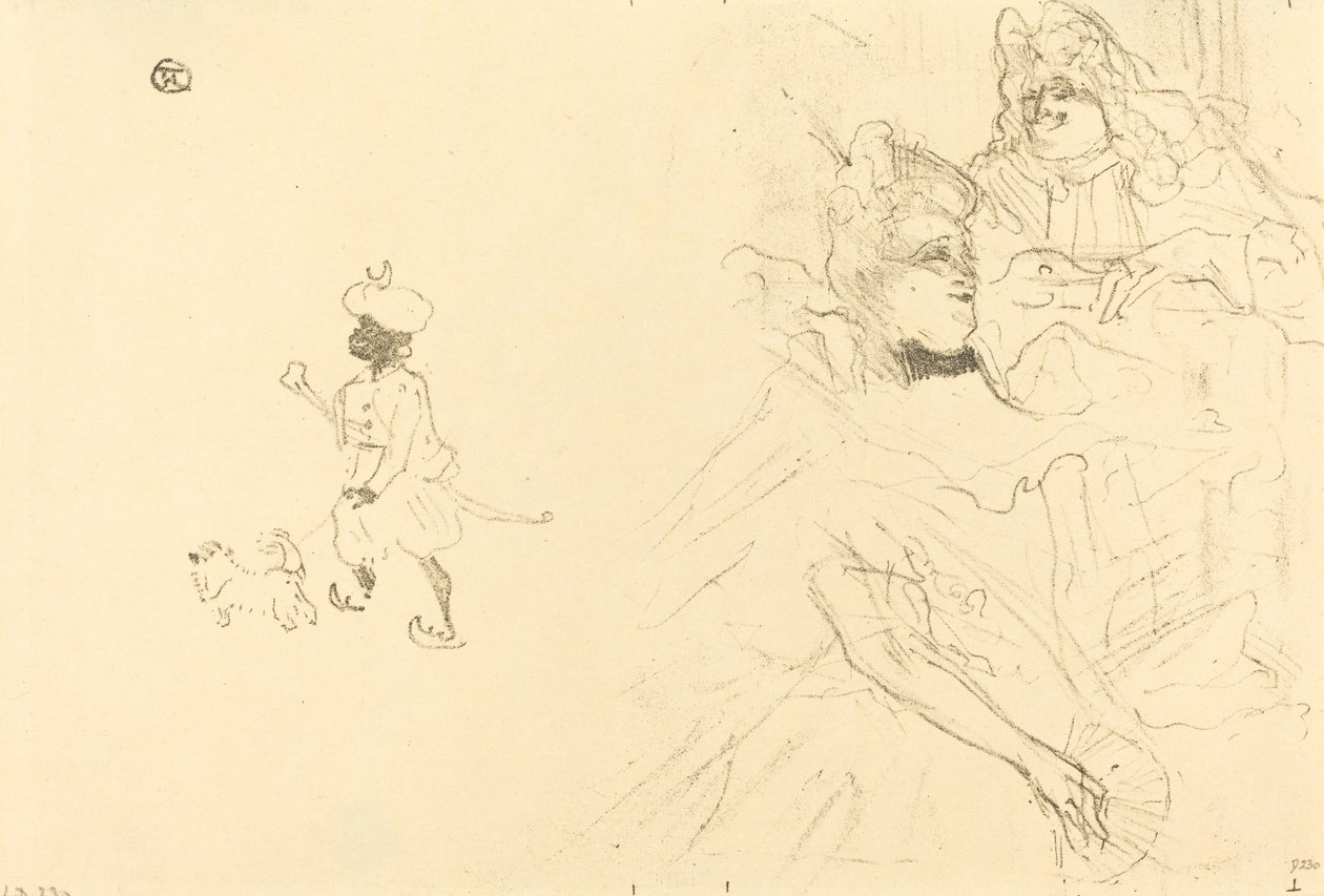 Copertina per L