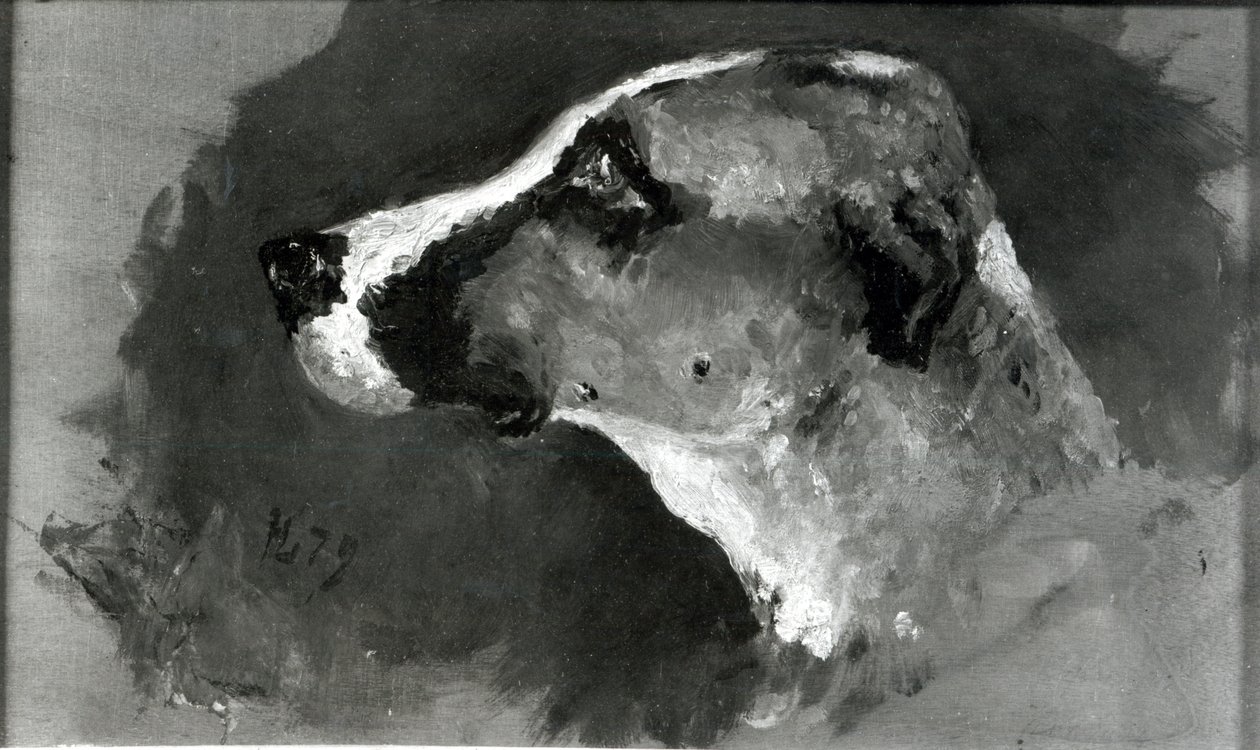 Testa di cane con orecchie corte da Henri de Toulouse Lautrec