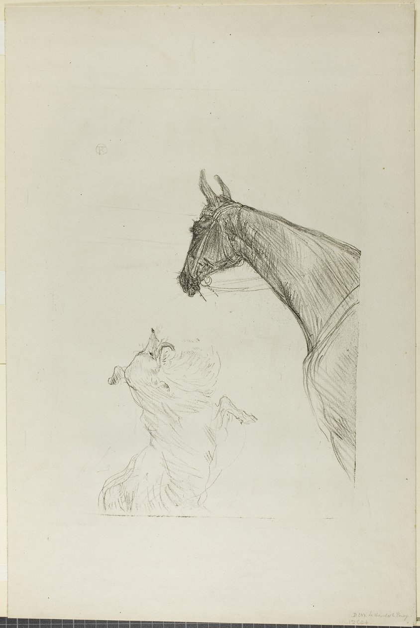 Cavallo e Collie da Henri de Toulouse Lautrec