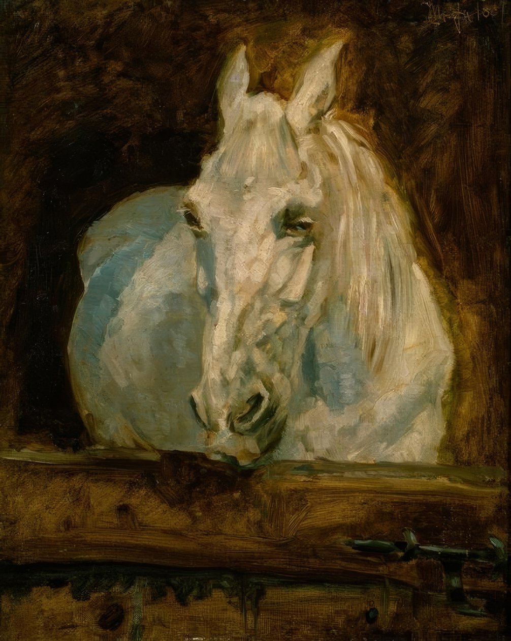 Il cavallo bianco Gazelle da Henri de Toulouse Lautrec