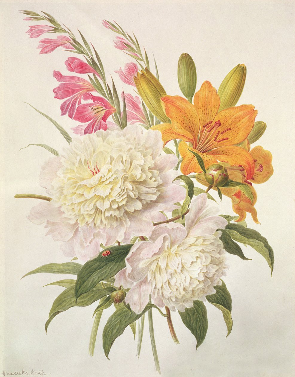 Rami di gladioli, peonie e Lilium bulbiferum da Henriette Gertruide Knip