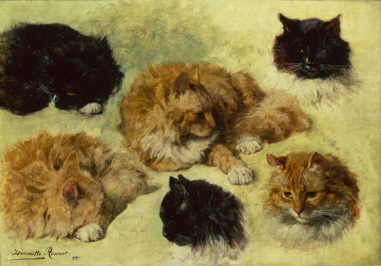 Studi di gatti da Henriëtte Ronner Knip