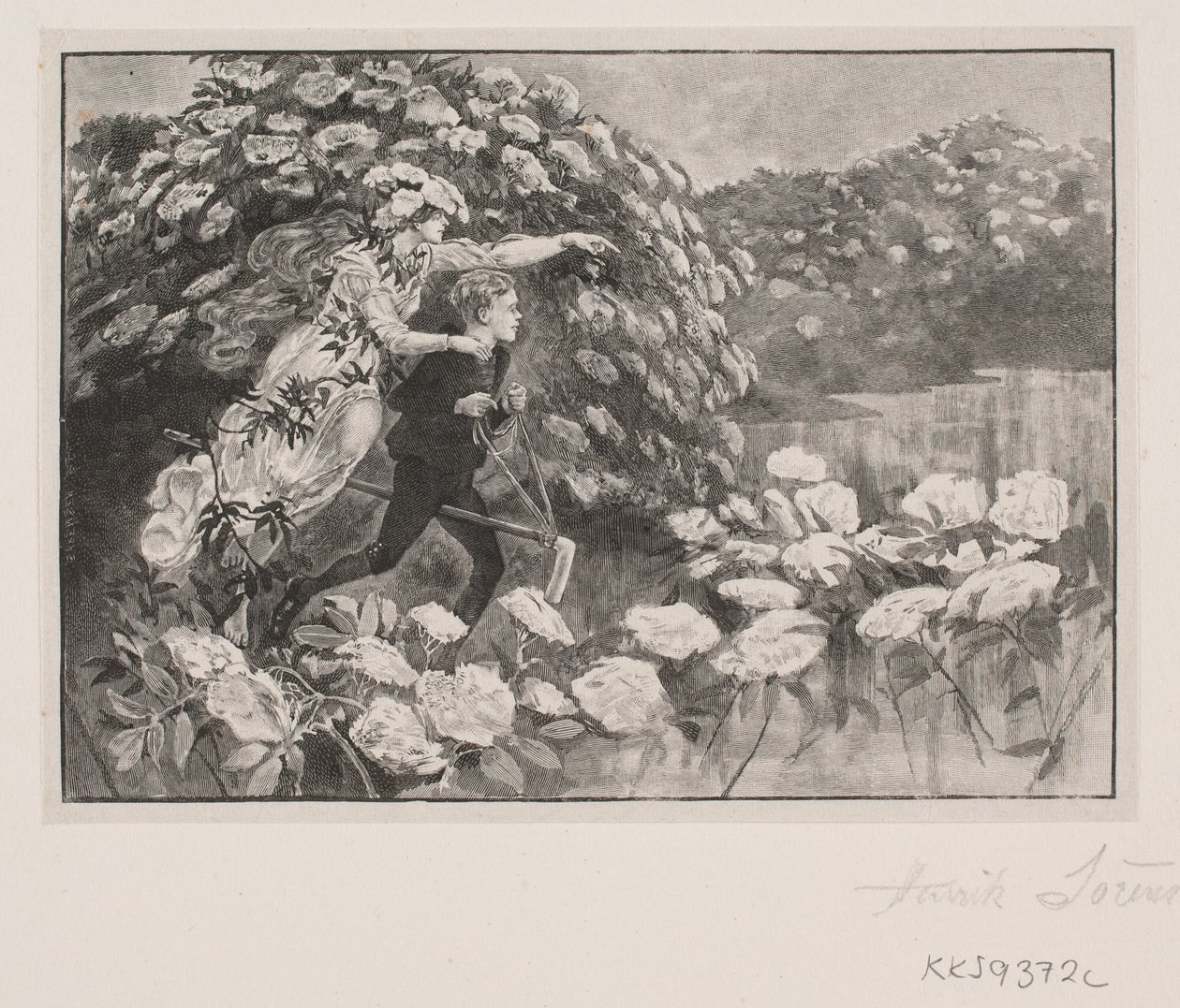 Illustrazione per H. C. Andersen: "La madre sambuco" da Henrik Arnold Hamilkar Sørensen