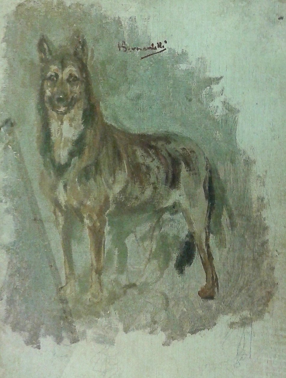 Studio di un animale (Cane) da Henrique Bernardelli