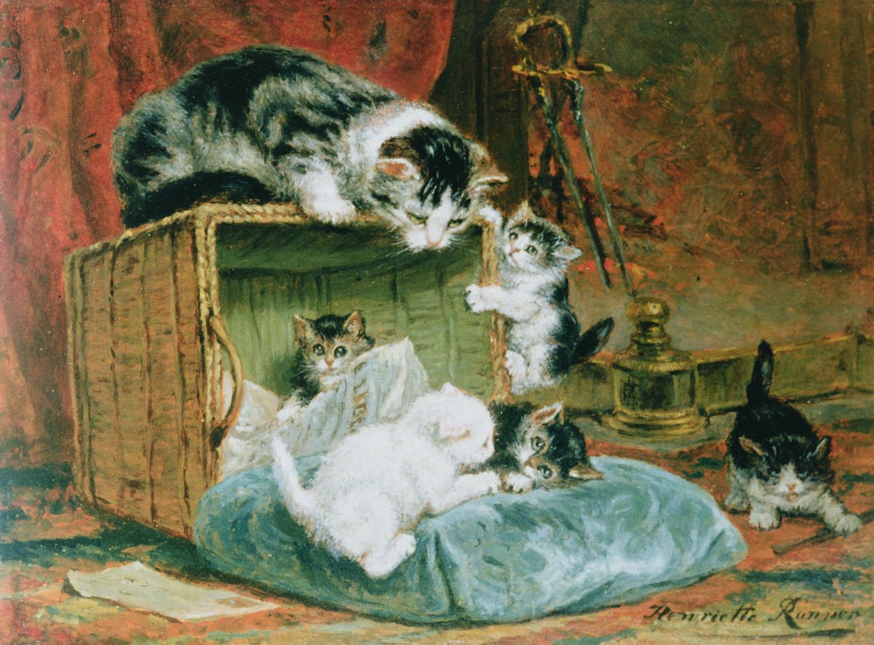 Tempo di gioco da Henriëtte Ronner Knip
