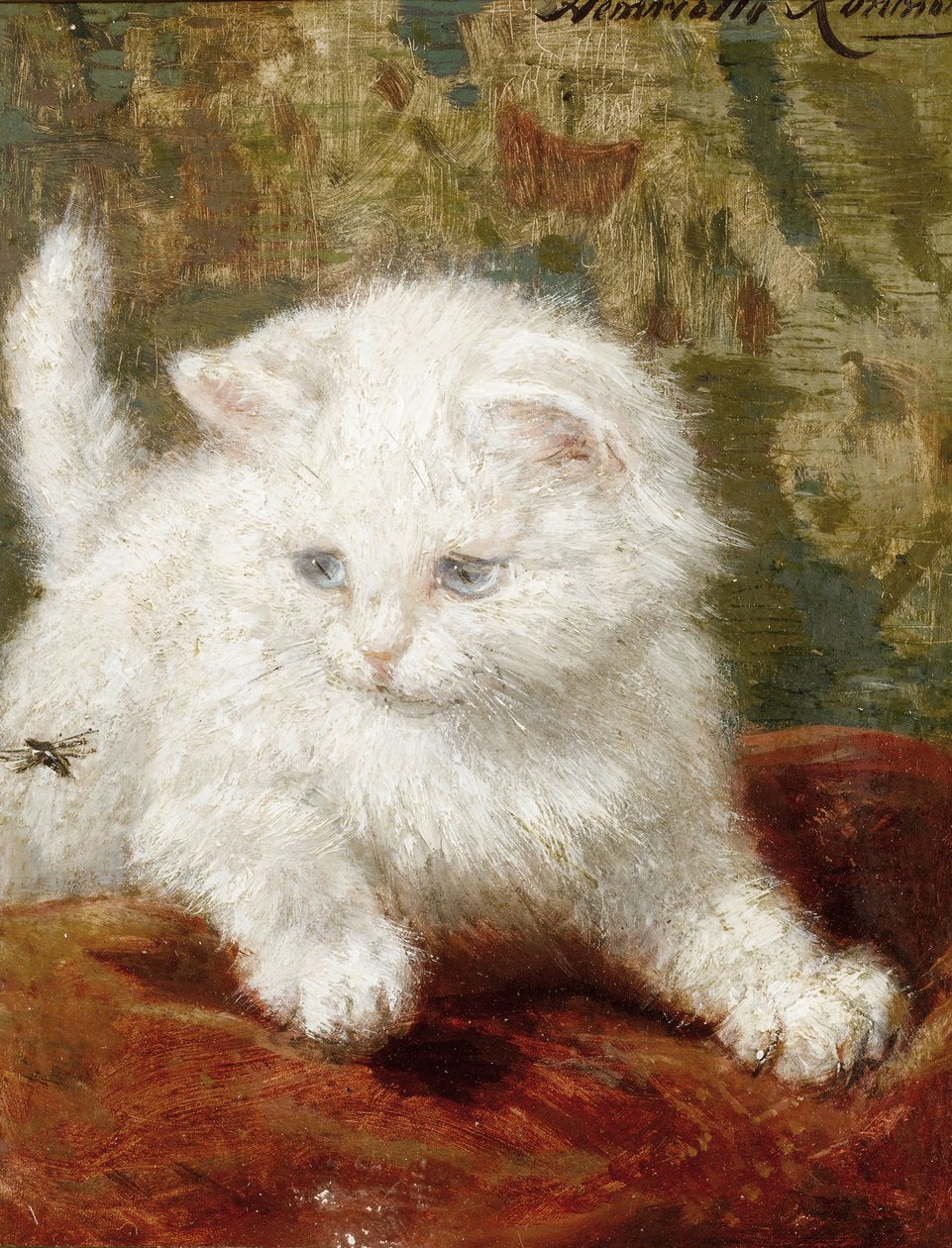 Curiosità da Henriëtte Ronner Knip