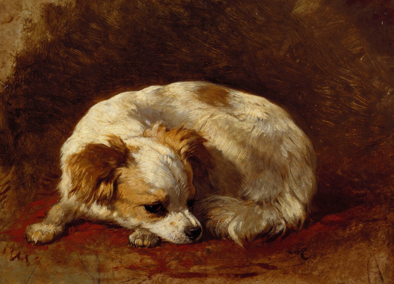 Un Papillon da Henriëtte Ronner Knip