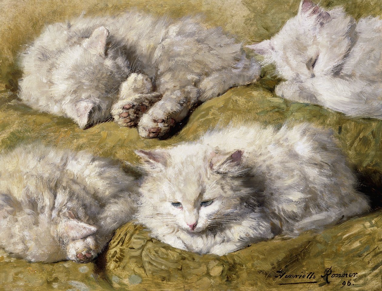 Studi di un Gatto Bianco a Pelo Lungo da Henriëtte Ronner Knip