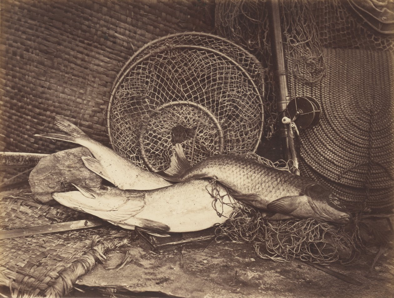 Natura morta con carpa e luccio da Henry Bailey